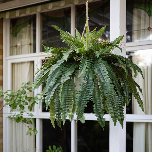 š„On Sale Only Today š± UV-Resistant Lifelike Artificial Boston Fern