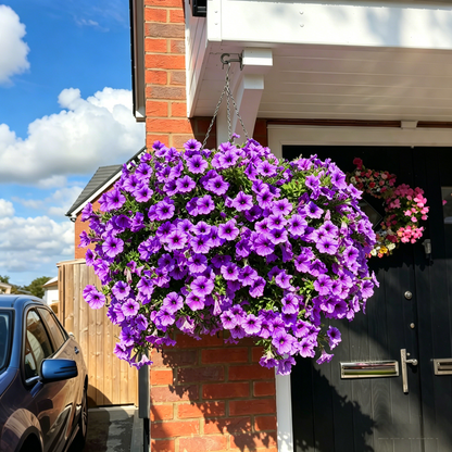 🔥Last Day 60% OFF😍Sunscreen and Rainproof Artificial Petunias Flowers🌺