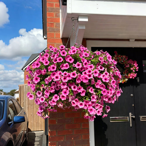 🔥Last Day 60% OFF😍Sunscreen and Rainproof Artificial Petunias Flowers🌺