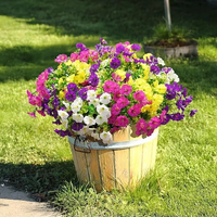 Mixed Colors