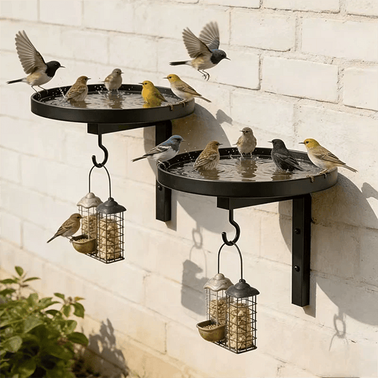 🔥Last Day 49% OFF !!! Wall-Mounted Metal Bird Bath a?? Antique Bronze Finish