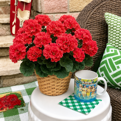 🎁 Last Day 60% OFF - Artificial Geranium Flowers For Outdoors