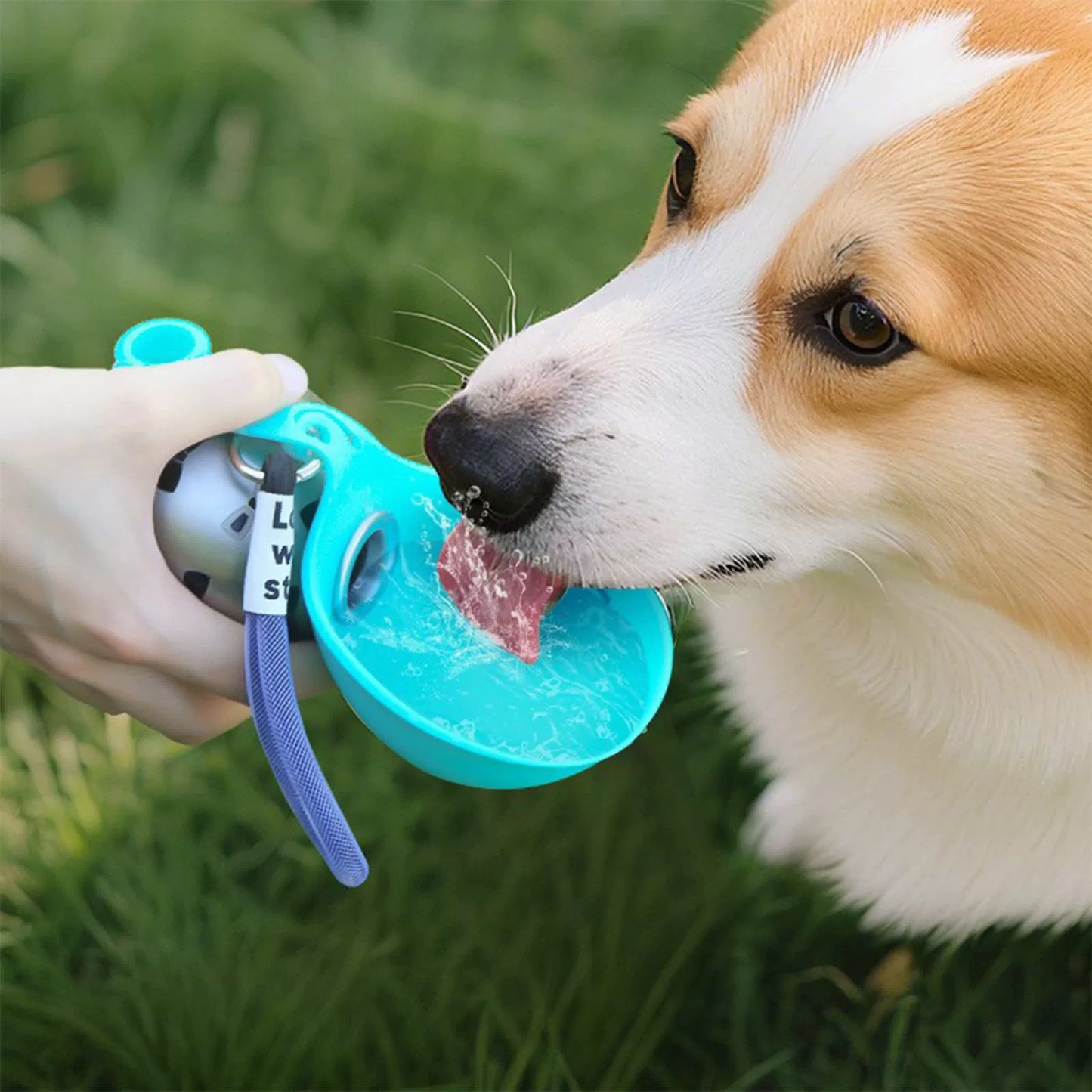 ✨47% OFF🐕The 2-in-1 Dog Water Bottle & Bowl