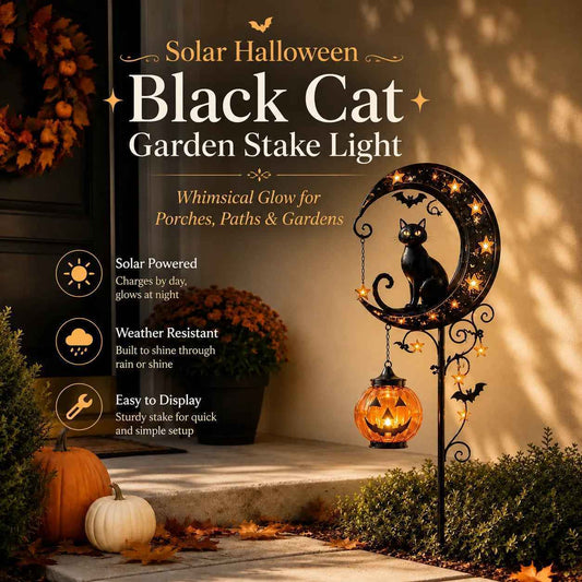 🌙 Today Only 49% OFF👻 Solar-Powered Black Cat Stake Light（副本）